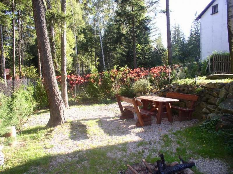 Szyszka