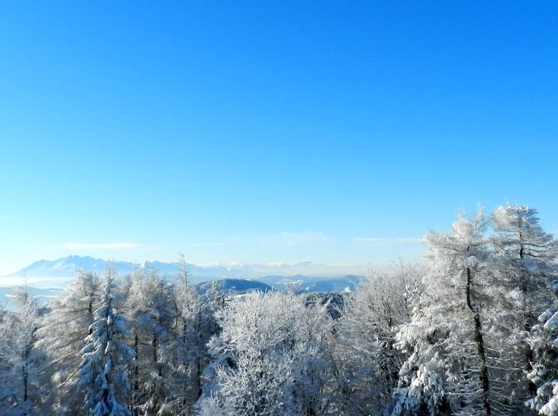 Jaworzyna Krynicka