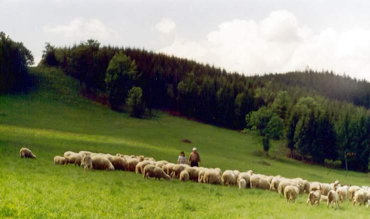 Na Przeczy Przegibek