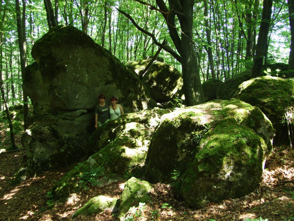 SchroniskoTurystyczne przy Starej szkole