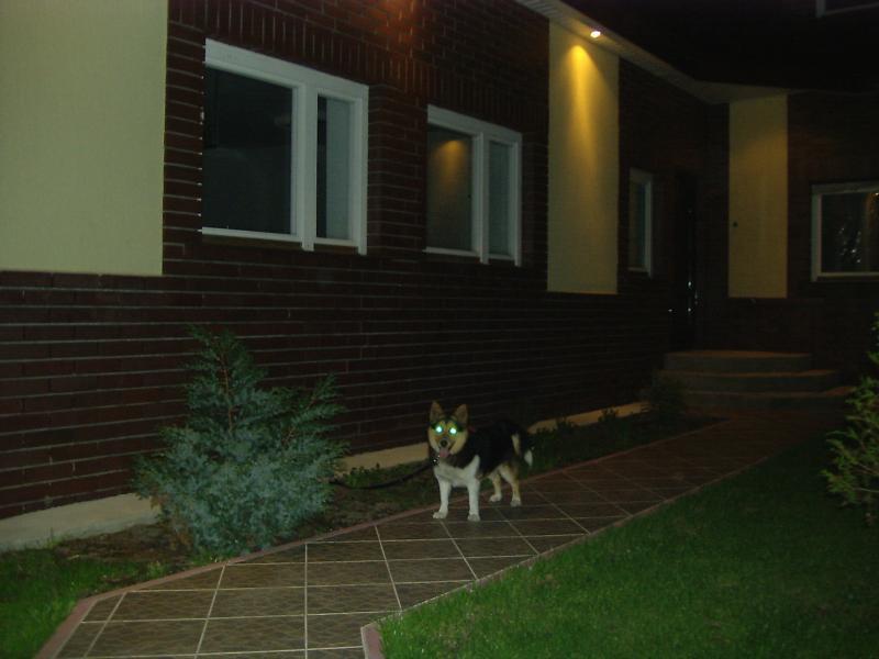 Hostel Kadr
