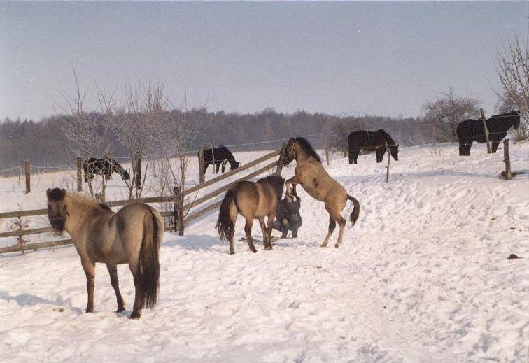 Nowina 5 - Ekoturystyka