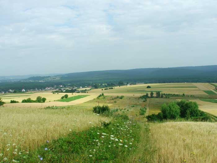 Agroturystyka u Marysi