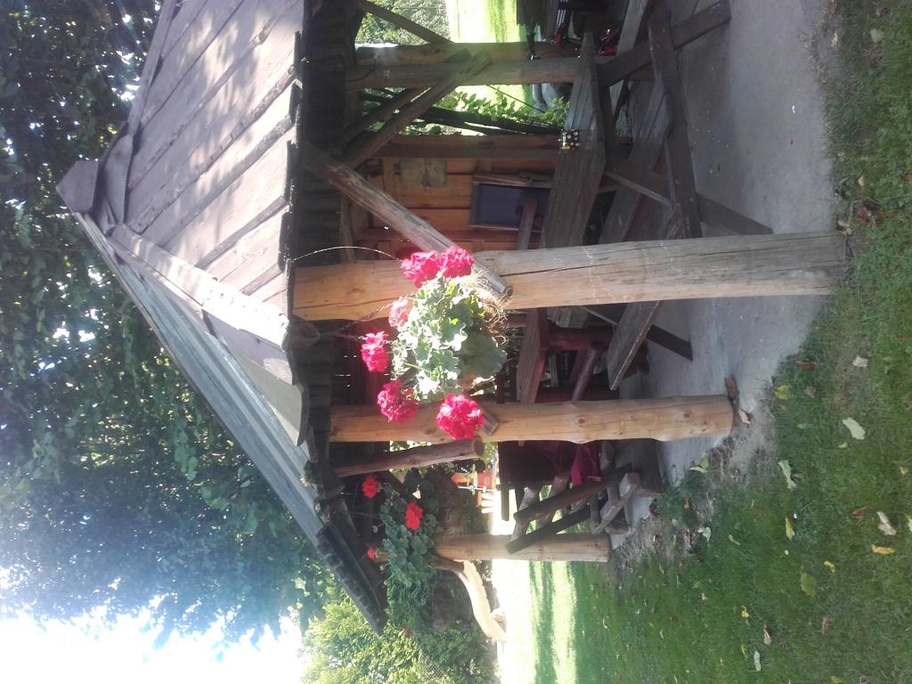 Agroturystyka  Stajnia Karasiwka