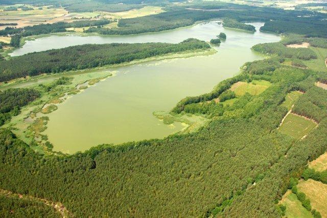 Gospodarstwo Agroturystyczne Eugenia Ciechanowicz