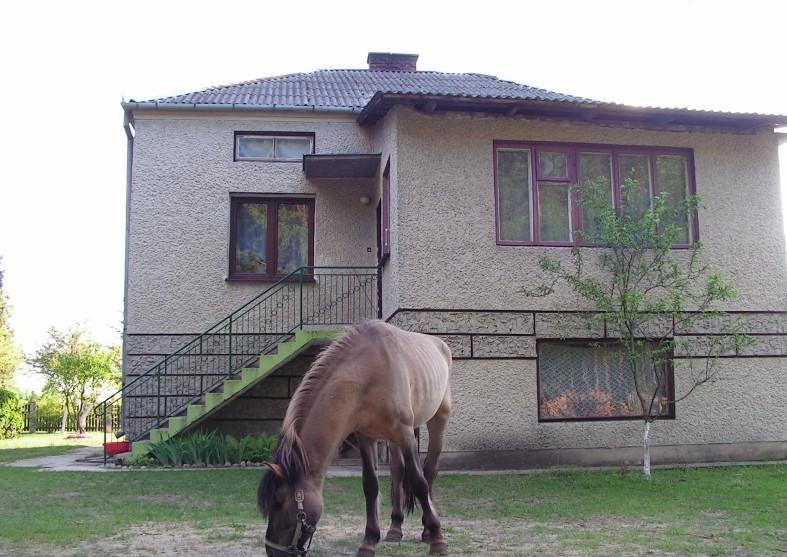 Agroturystyka na Spacerowej