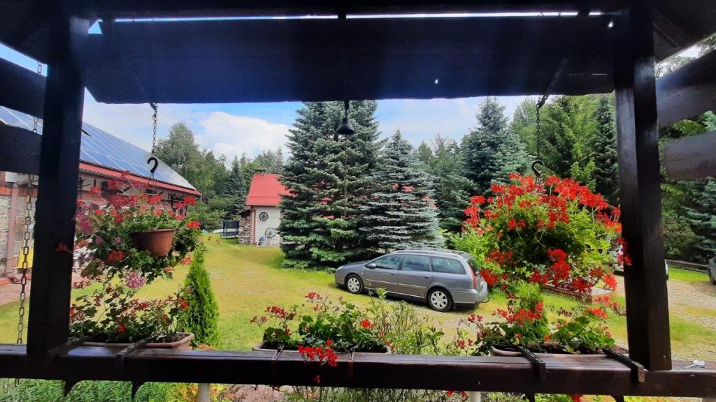 Mazurskie Uroczysko - nad samym jeziorem, noclegi ze  �niadaniem , ��dki, kajaki