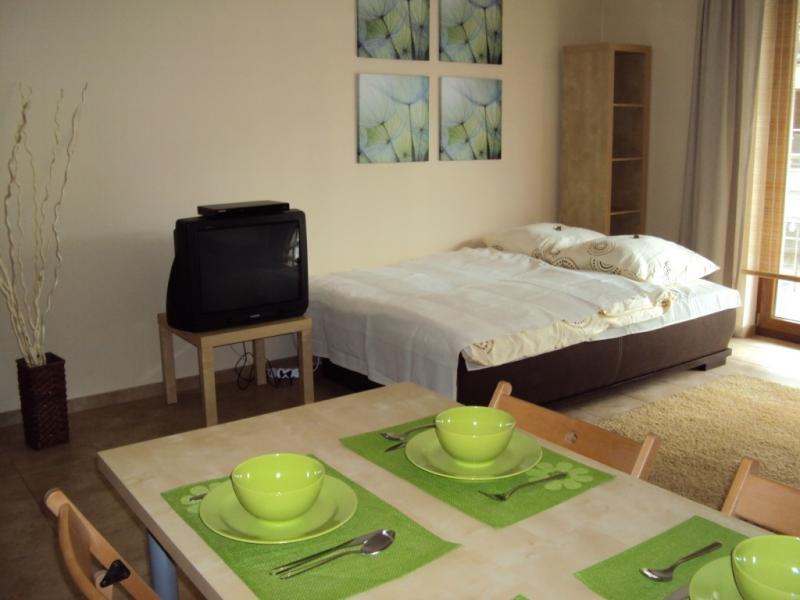 Apartament Tarasy Wilane