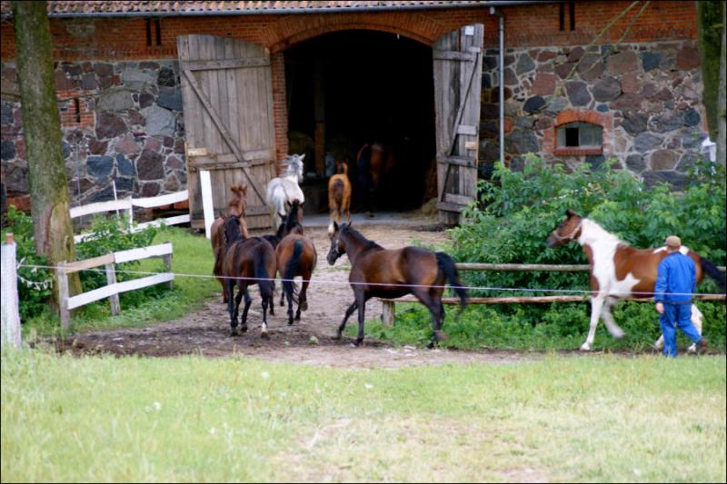 Agroturystyka „Dworek Tamara”