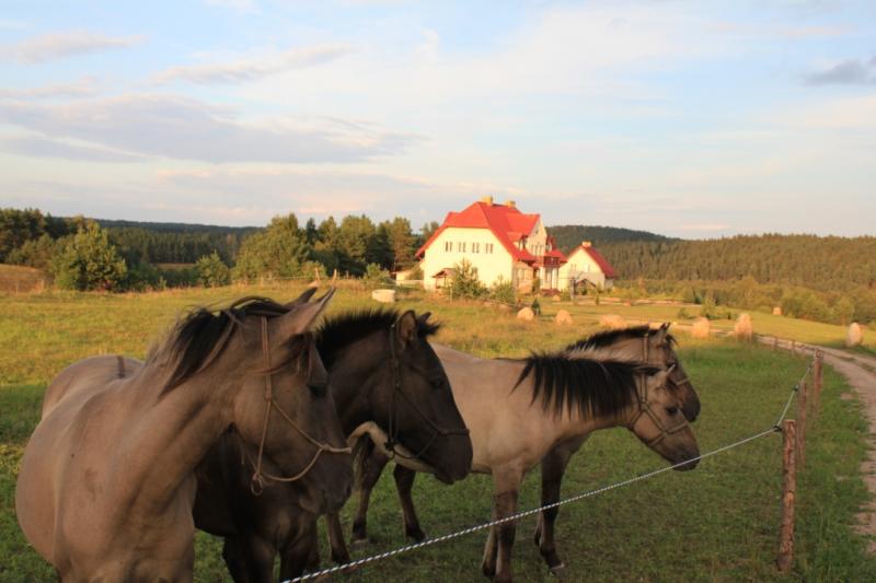 Agroturystyka Zielone Wzgrza Suwalszczyzna