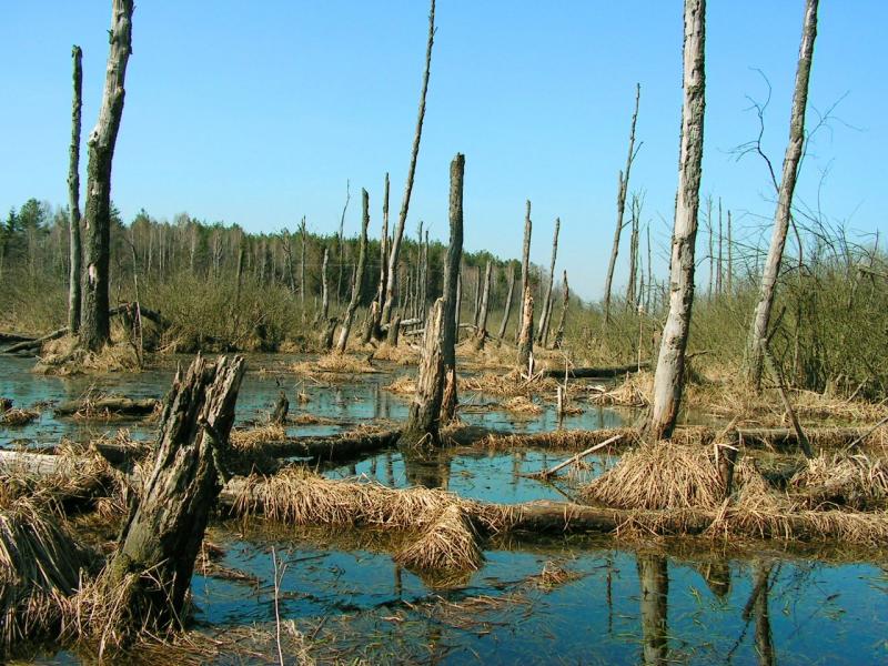 Ekowczasy-agroturystyka nad Bugiem