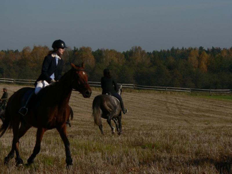 Agroturystyka Anna Pacek