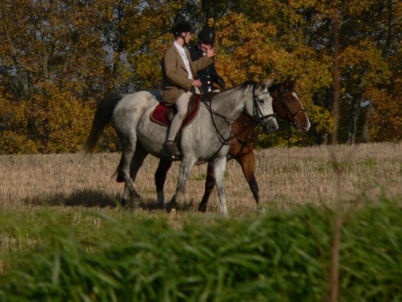 Agroturystyka Anna Pacek