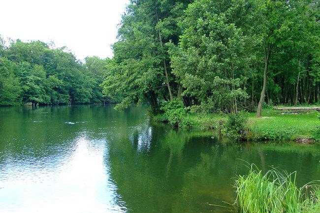 Spokojna Dolina nad Brd