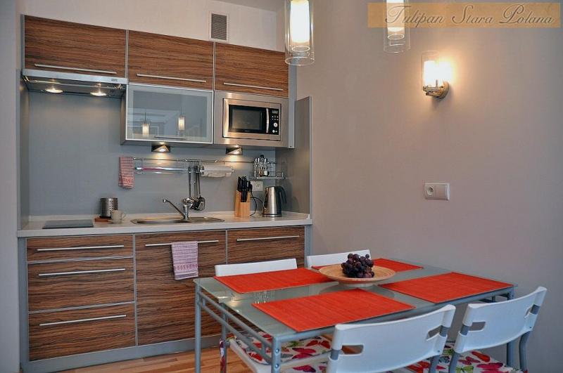 Apartament Stara Polana-Tulipan w centrum,SPA