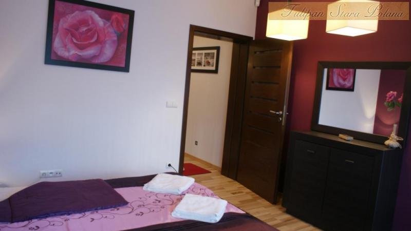 Apartament Stara Polana-Tulipan w centrum,SPA