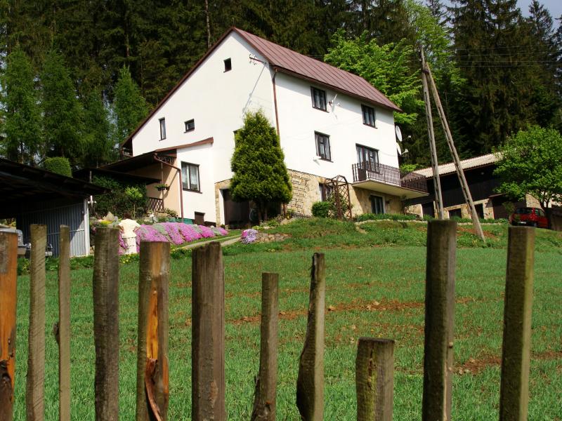 Kwatera pod Lasem
