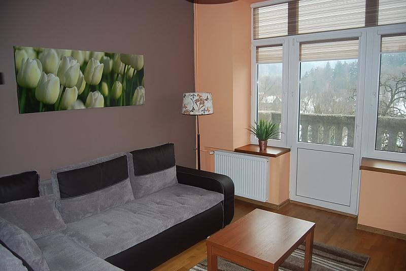 Apartament Pikna