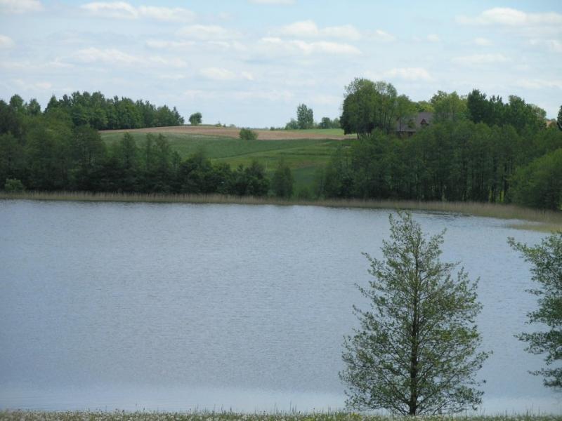 Gociniec Umauda