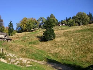 Zygmuntwka