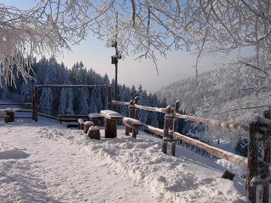 Zygmuntwka
