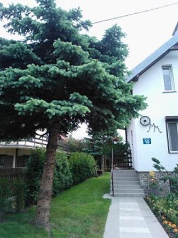 Domek nad jeziorem Tajty