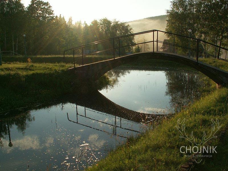 Hotel Chojnik***