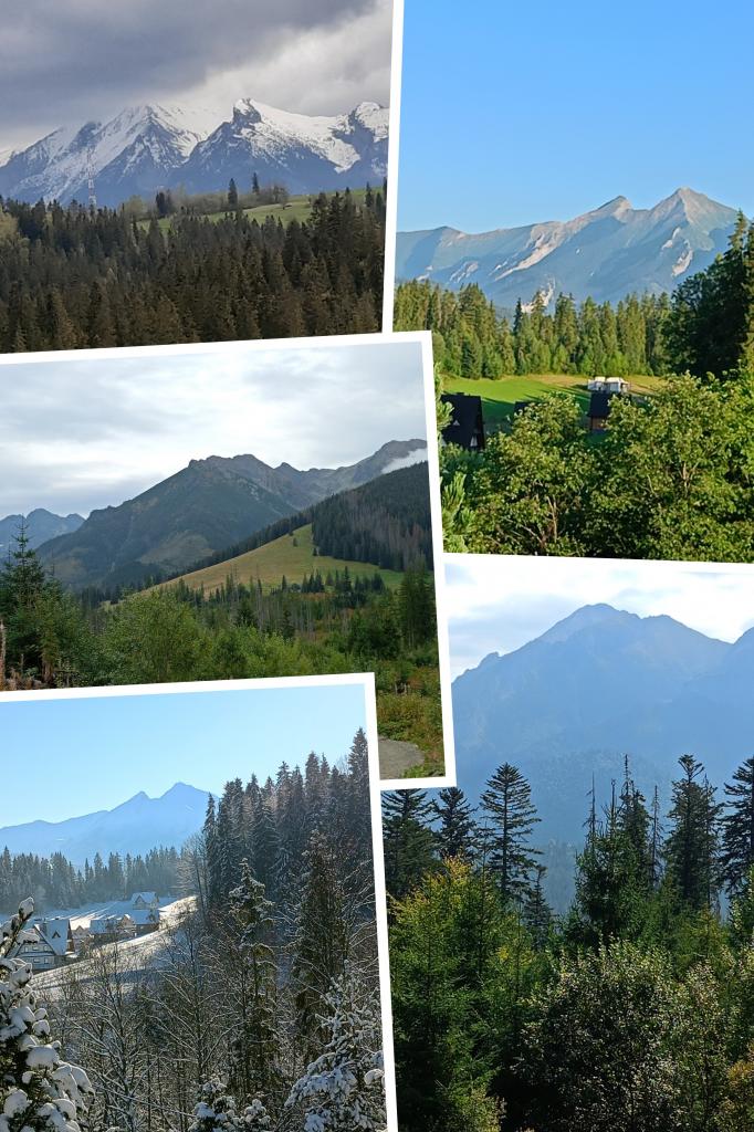 Pokoje Gocinne Przy Pasiece