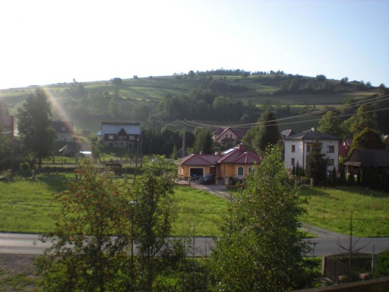 Arenda Koninki