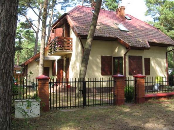 Szyszka