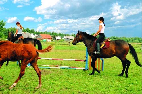 Gospodarstwo Agroturystyczne - Domki - Orzechowo Morskie