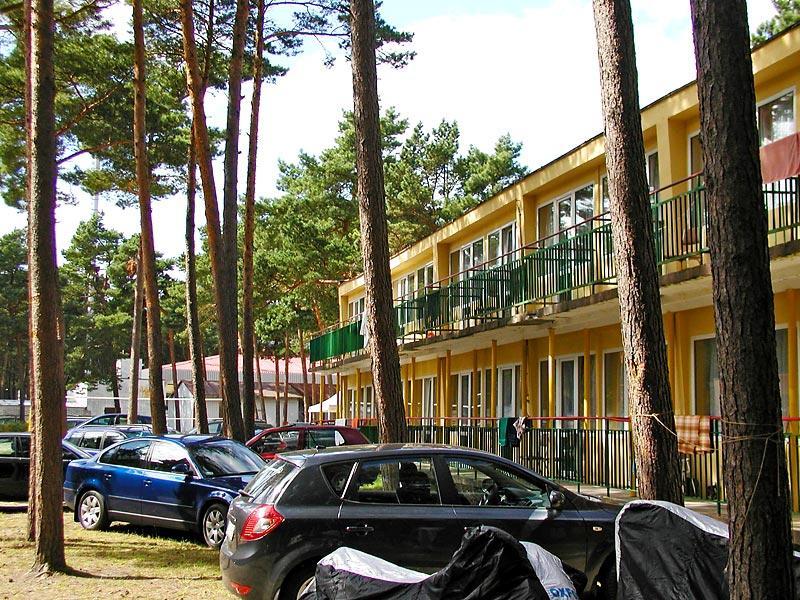 Koral