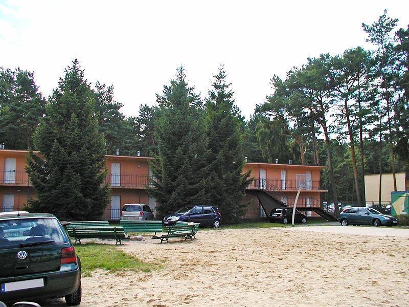 Koral