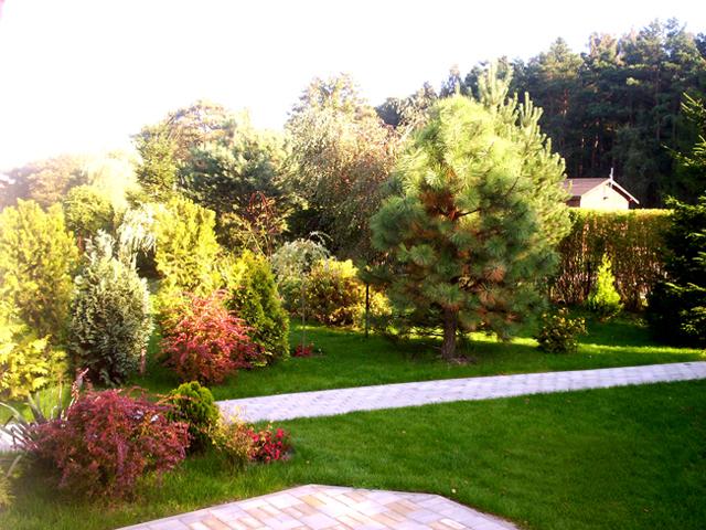 Domy nad morzem
