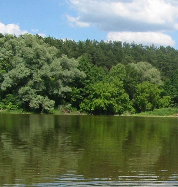 Gospodarstwo agroturystyczne Nad Stawem