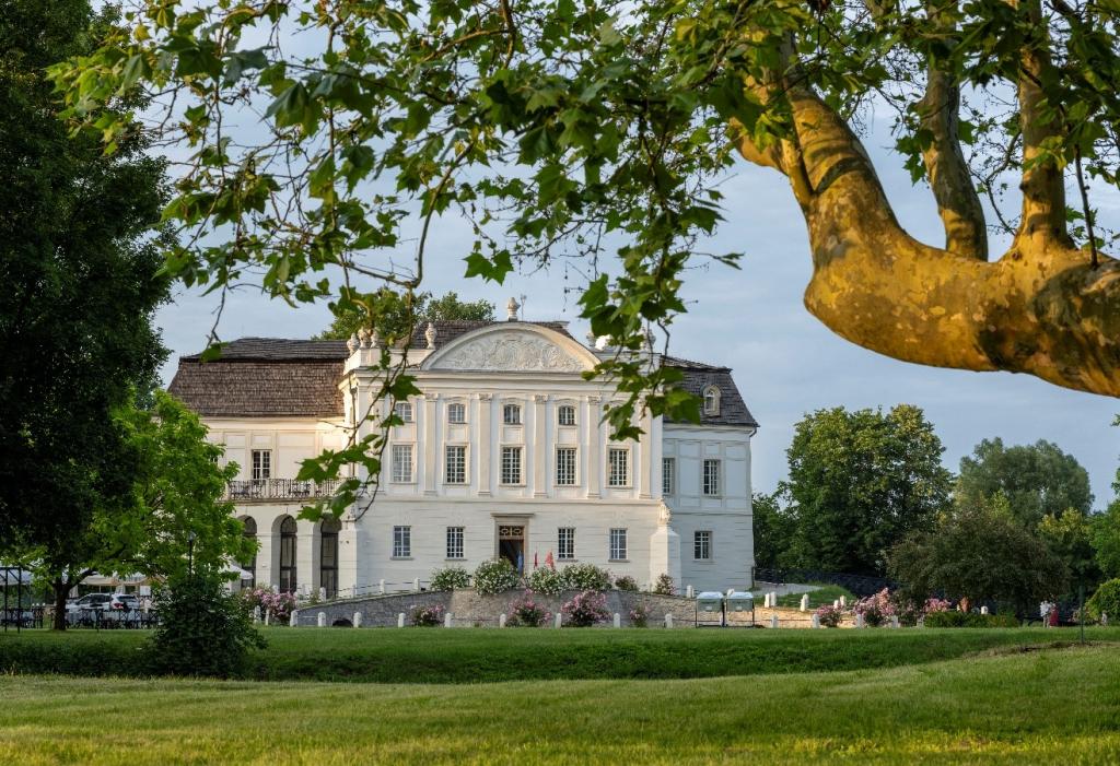 Paac Popielw w Kurozwkach