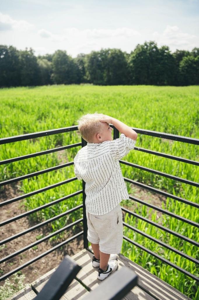 Paac Popielw w Kurozwkach