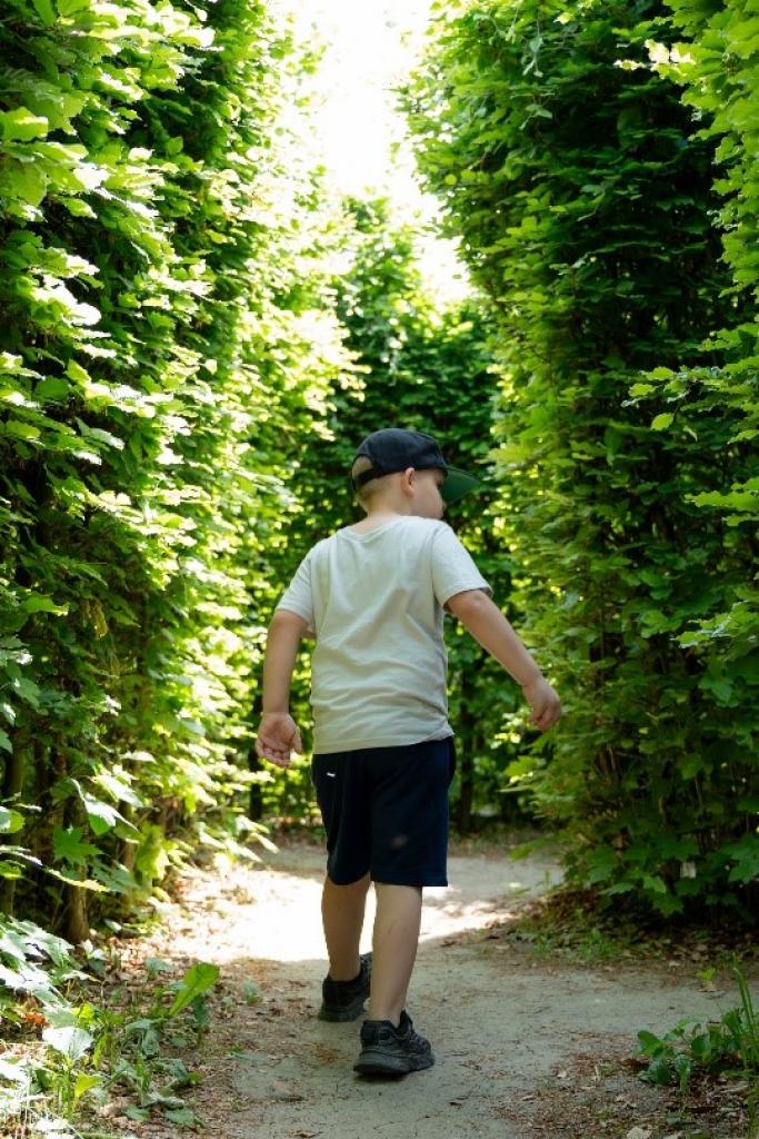 Paac Popielw w Kurozwkach