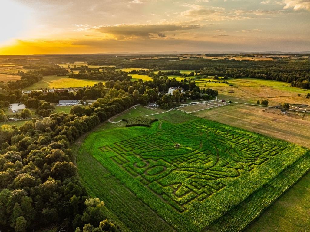 Paac Popielw w Kurozwkach