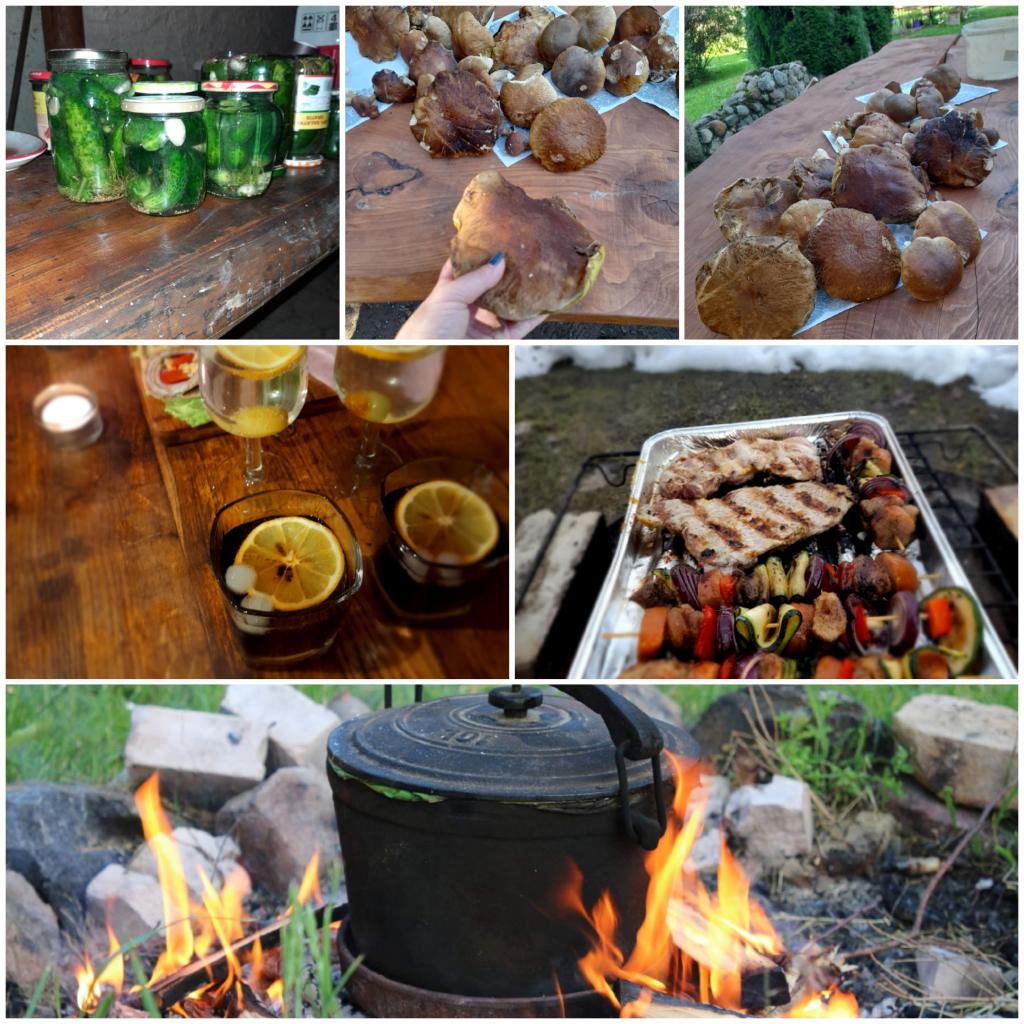 Agroturystyka Kocio Duy
