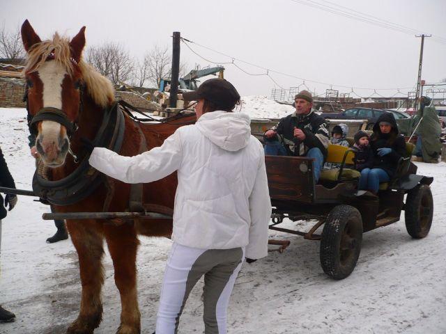 Agroturystyka i Klub Jezdziecki