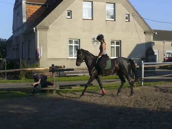 Rancho Orodek Rekreacji Konnej i Hipoterapii