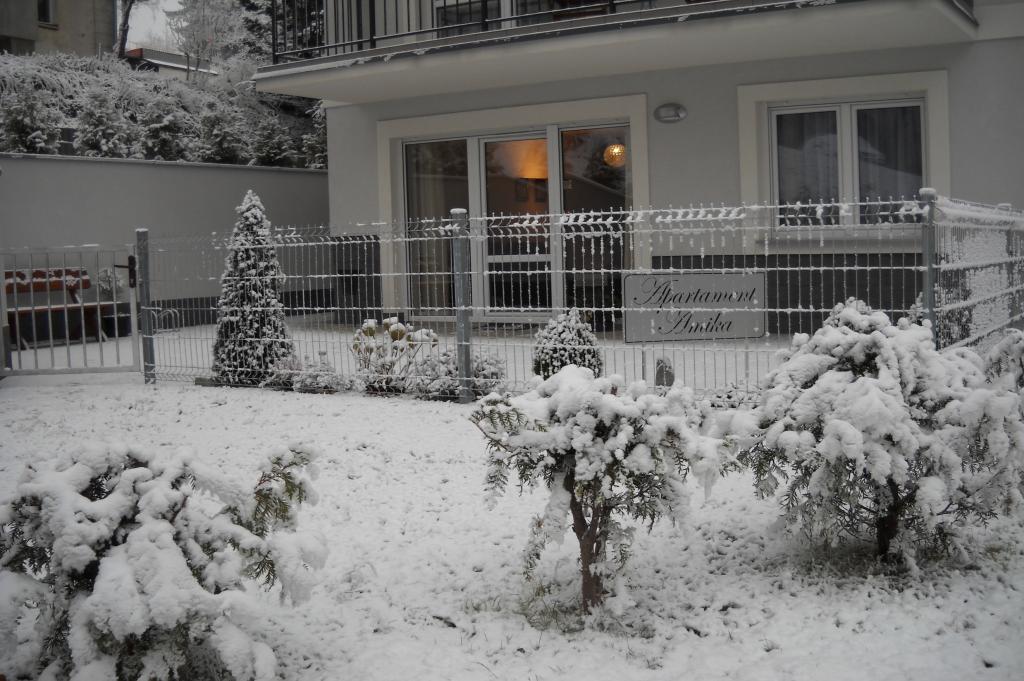 Apartamenty Amika