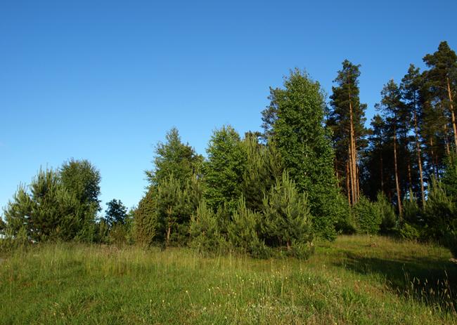 Domki Borzyszkowy Kaszuby