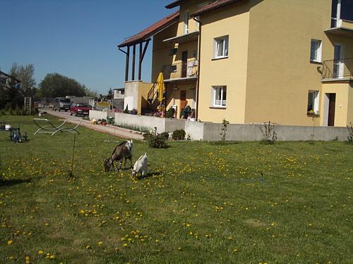 Apartament Atol