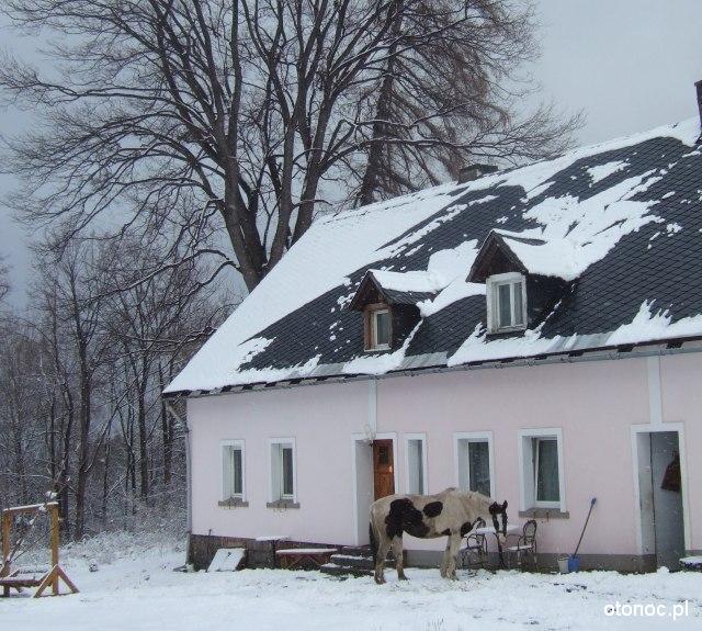 Agroturystyka Leny Zaktek