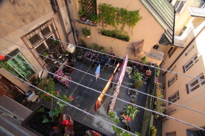 Momotown Hostel