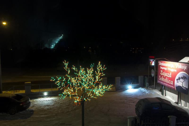 Sokolica