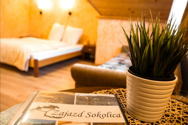 Sokolica