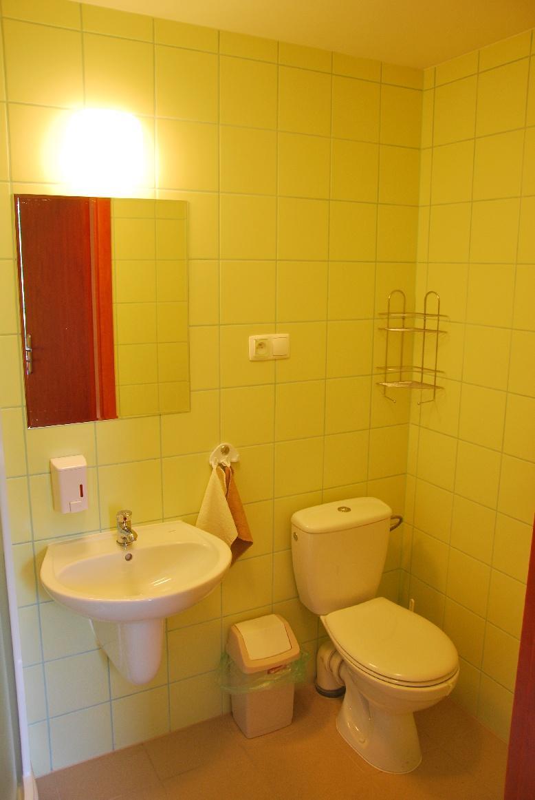 Bluszcz